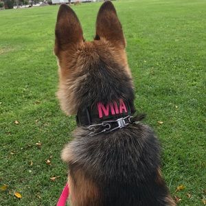 Meet your Posher, Johnny